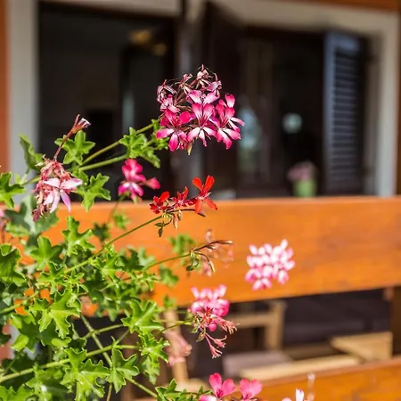 빌라 Cozy Sejdi With Private Pool In By Wiibuk