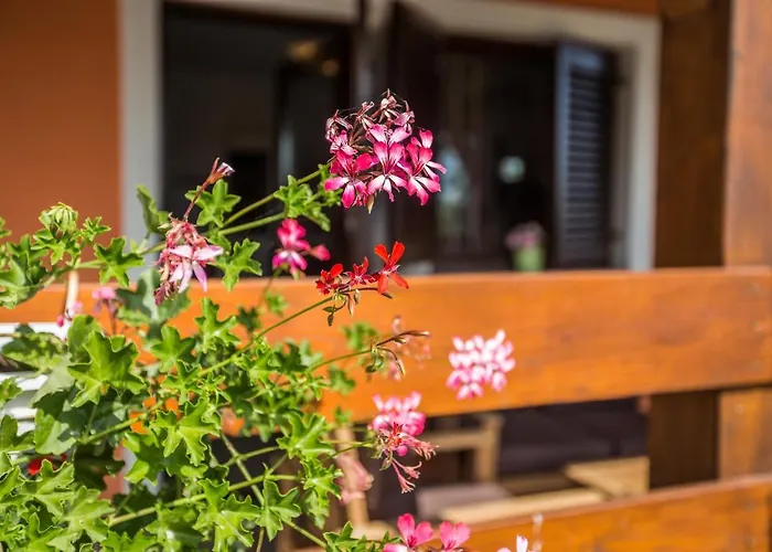 别墅 Cozy Sejdi With Private Pool In By Wiibuk